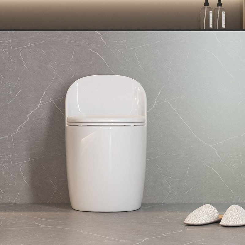 Modern Ceramic Sanitaryware Floor Standing Colorful Round Egg Shape White Toilet2