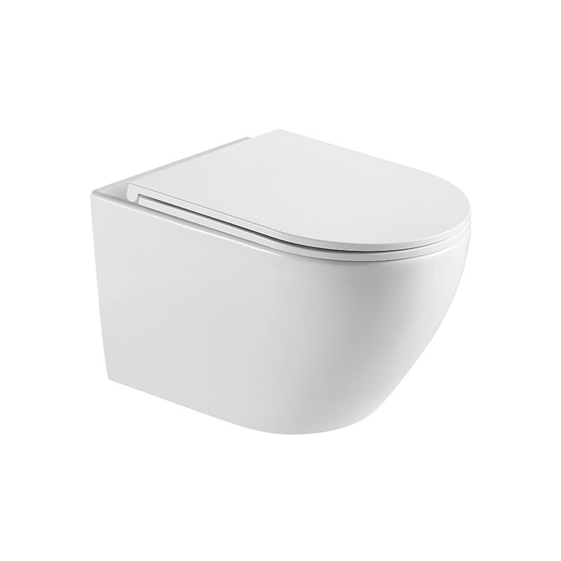 European Style Sanitary Ware Bathroom Ceramic wall-hung Toilet (1)