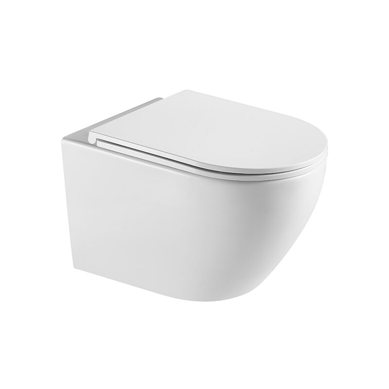 European Style Sanitary Ware Bathroom Ceramic wall-hung Toilet (2)