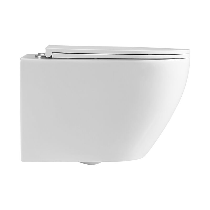European Style Sanitary Ware Bathroom Ceramic wall-hung Toilet (3)