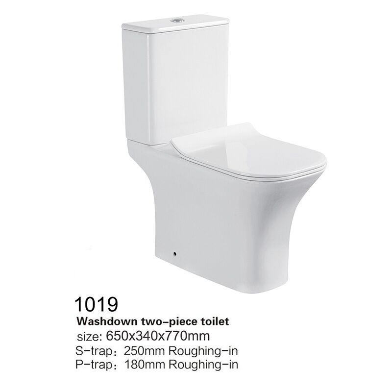 New Model Dual Flush Washdown 2 Piece Toilet P Trap 180mm WC Water Close Coupled Toilet-01-1019