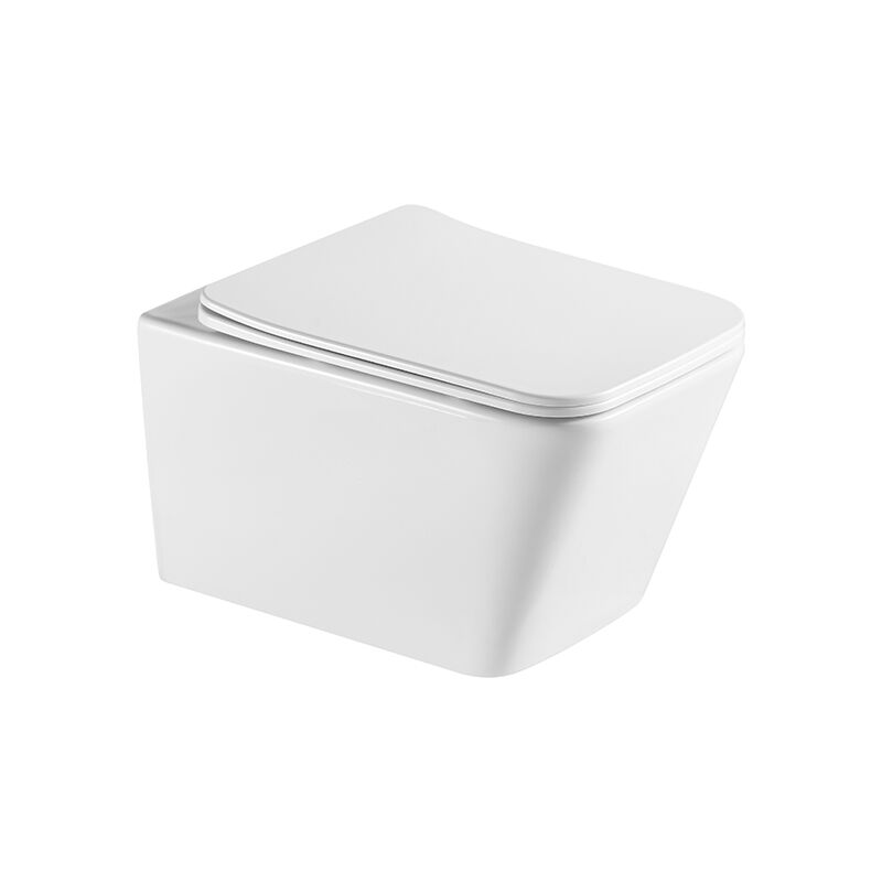 Wholesale washdown porcelain bathroom sanitary ware wall hung toilet (3)